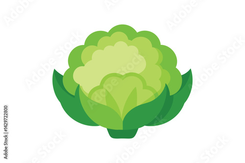 Fresh Cauliflower Vegetable vector on white background