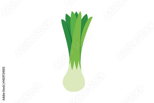 Fresh Leek Vegetable vector on white background