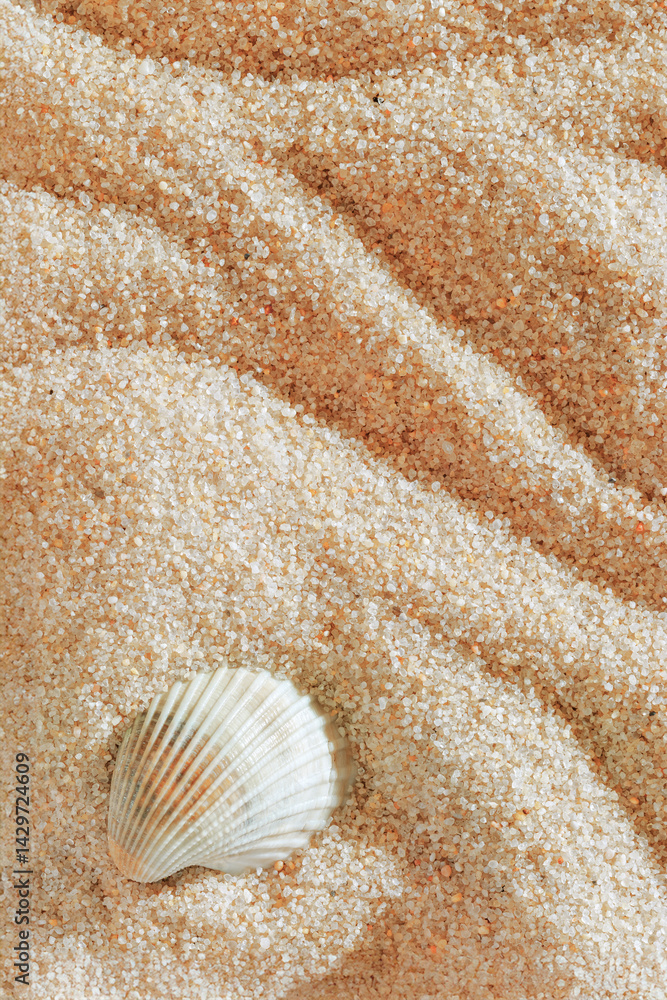 Close-up of white seashell on textured light beige pink sand, summer and seaside atmosphere, minimal style aesthetic nature vertical photography, relaxation, wellness concept, coral colored gradient