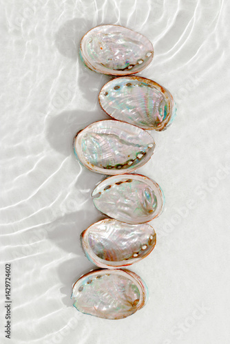 Obraz na płótnie Set of abalone seashells floating on clear white water with sun glare and waves. Shells of natural iridescent and rough textures. Minimal style top view pattern sea ocean life background, copy space w salonie