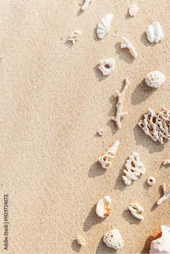 Obraz na płótnie Seashells and coral on Beach Sand at sunlight, outdoor nature photo from variety of white shells and coral pieces scattered on light beige sandy sea shore, minimal monochrome environment flatly w salonie