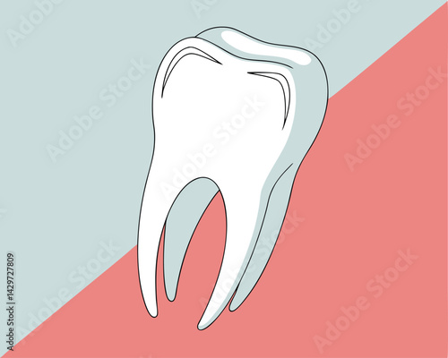 Healthy Tooth Anatomy Dental Care Illustration