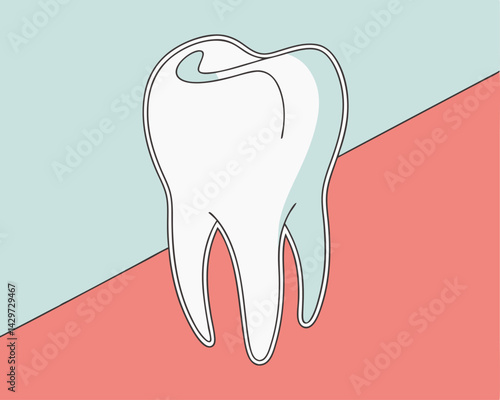 Healthy Tooth Anatomy Dental Care Illustration