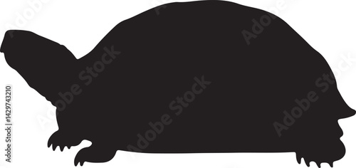 Eastern Box Turtle Silhouette on White Background