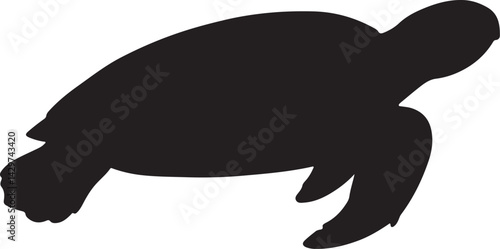 Green Sea Turtle Silhouette on White Background