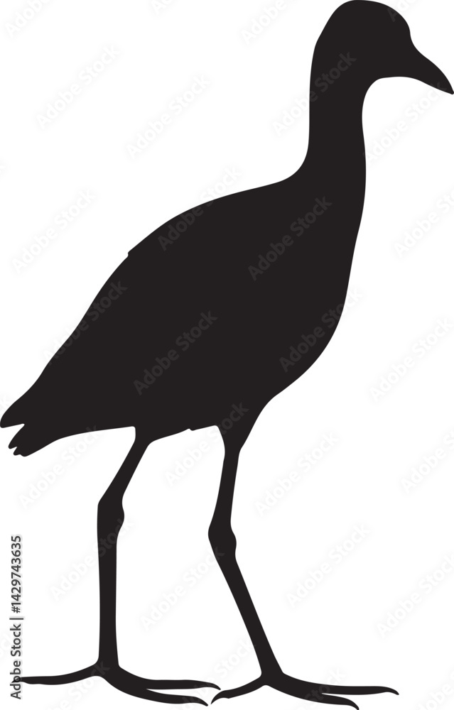 Fototapeta premium Jacana Silhouette on White Background