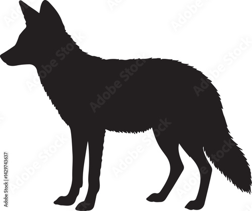Jackal Silhouette on White Background