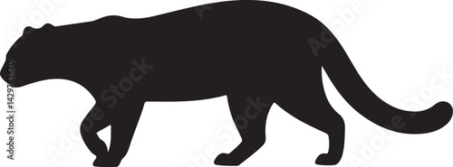 Photography Jaguarundi Silhouette on White Background