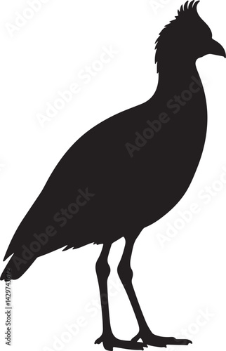 Kagu Silhouette on White Background