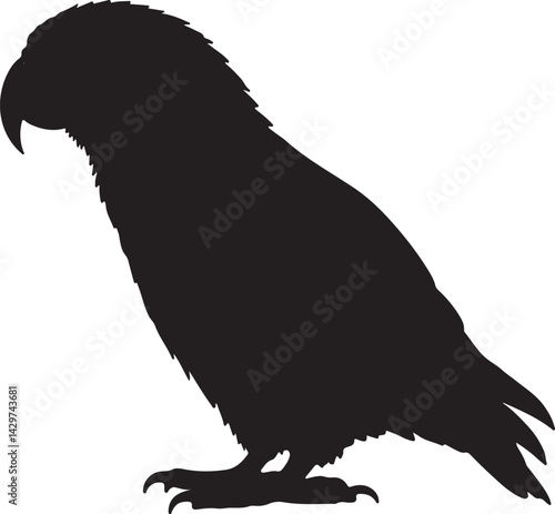 Kakapo Silhouette on White Background