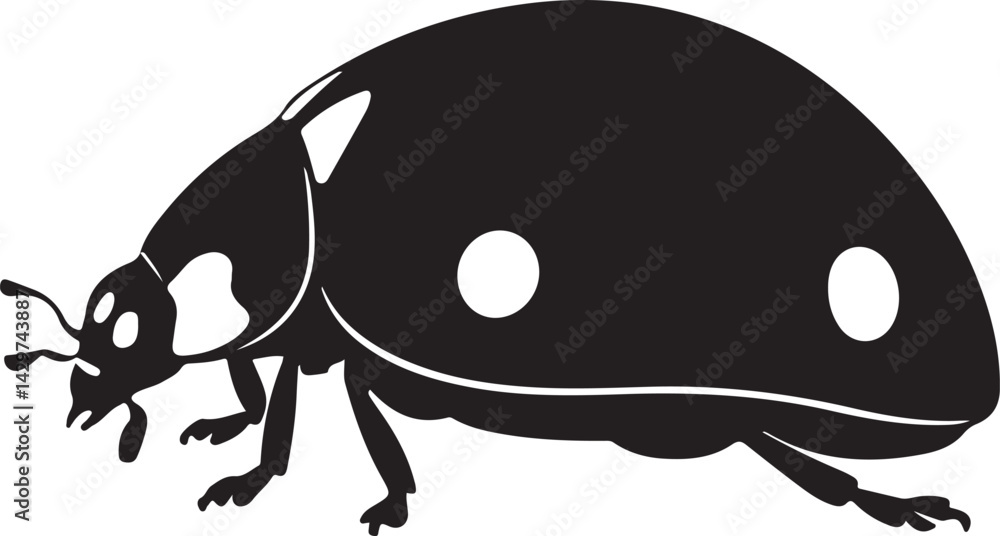 Obraz premium Ladybug Silhouette on White Background