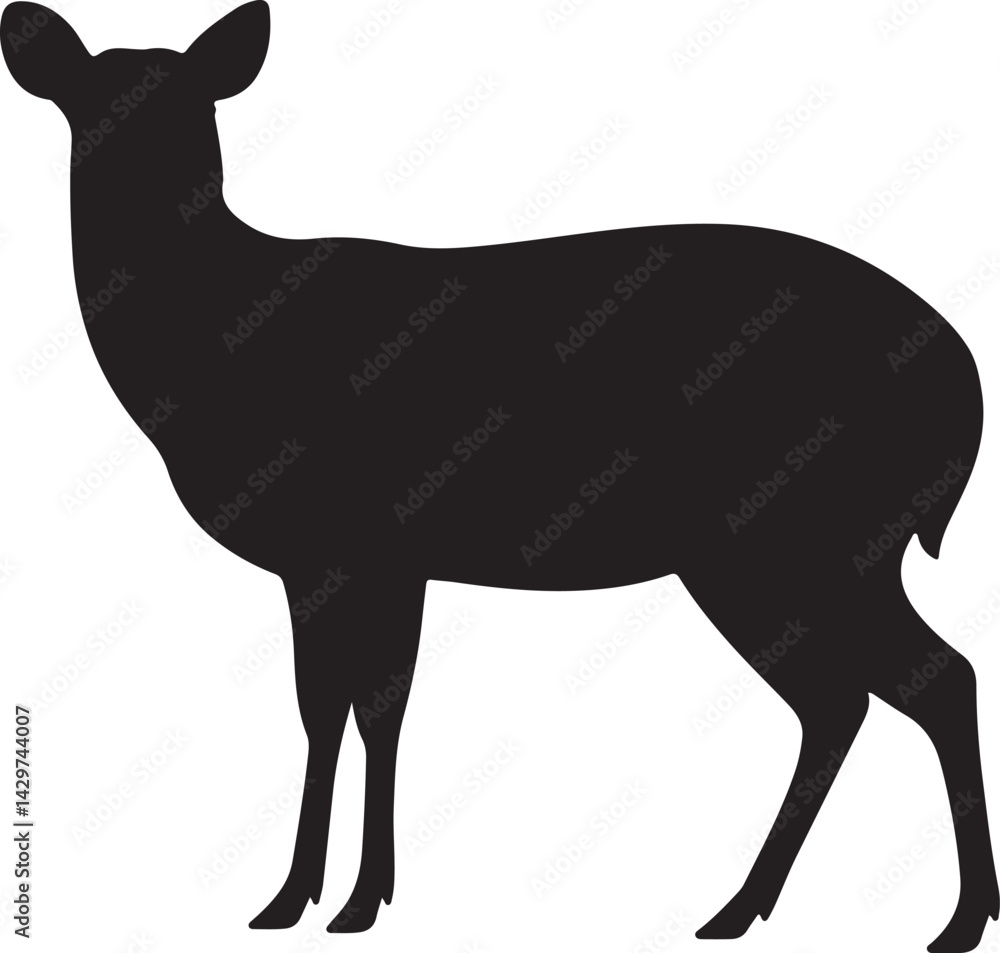 Fototapeta premium Muntjac Silhouette on White Background