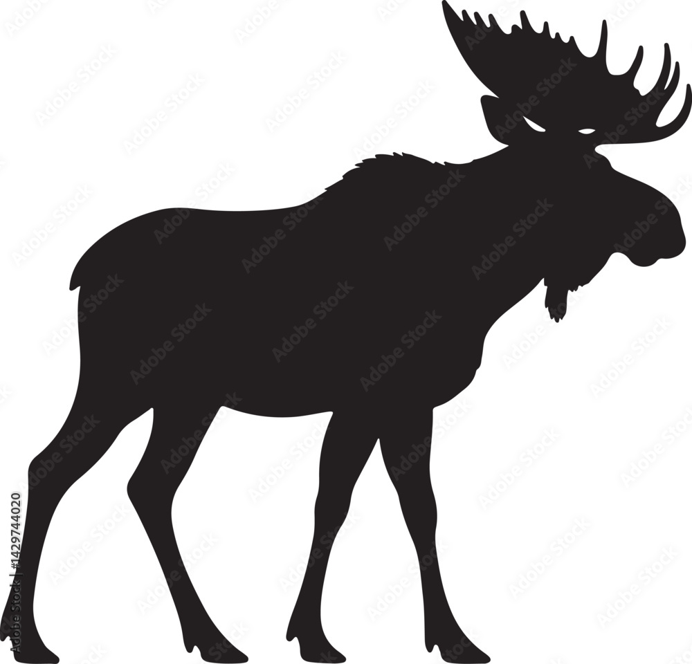 Obraz premium Moose Silhouette on White Background