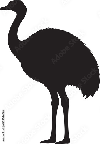 Nandu Silhouette on White Background