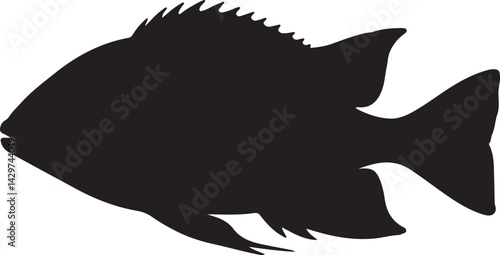 Nalolo Silhouette on White Background