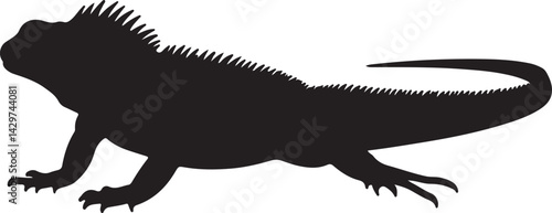 Oaxacan Spiny-tailed Iguana Silhouette on White Background