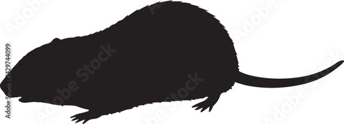 Naked Mole Rat Silhouette on White Background