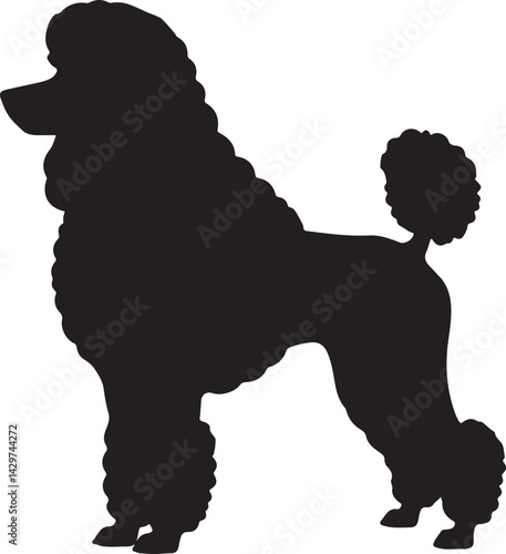 Poodle Silhouette on White Background