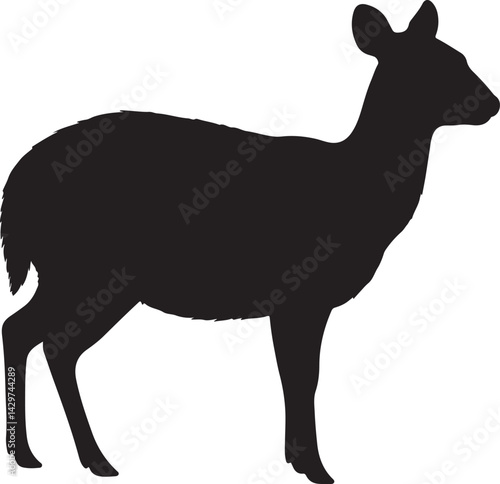 Pudu Silhouette on White Background