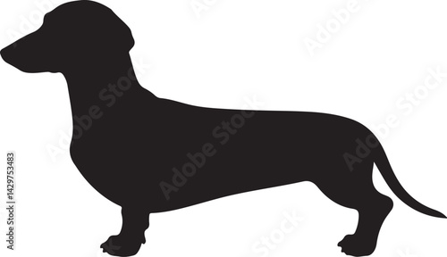 Dapple Dachshund Vector Silhouette