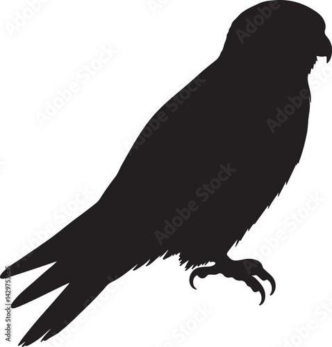 Falconet Vector Silhouette