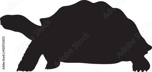 Galápagos Tortoise Vector Silhouette