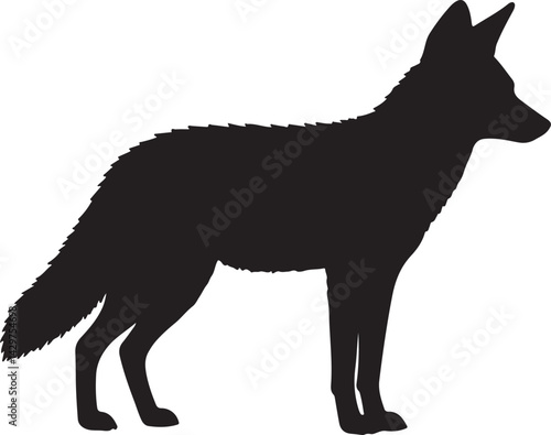 Jackal Silhouette