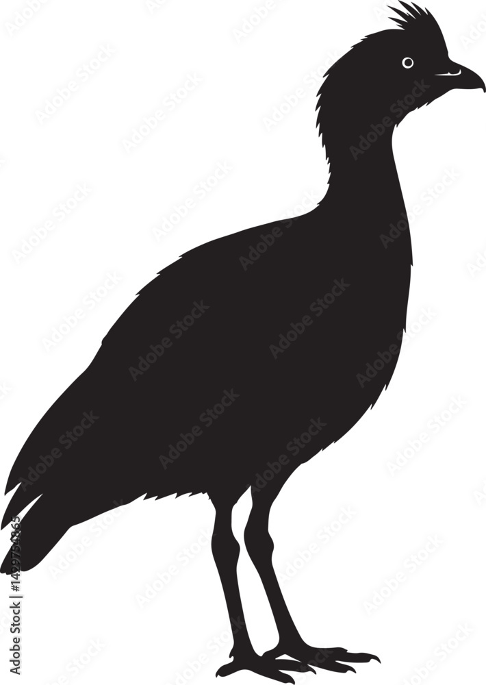 Fototapeta premium Kagu Silhouette