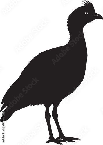 Kagu Silhouette