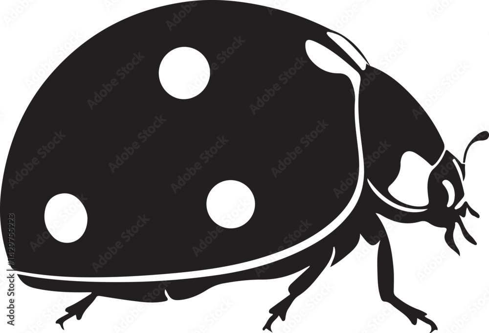 Obraz premium Ladybug Silhouette
