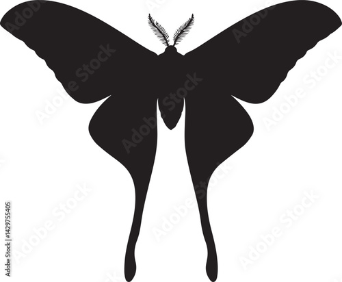Madagascan Moon Moth Silhouette