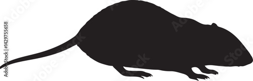 Naked Mole Rat Silhouette