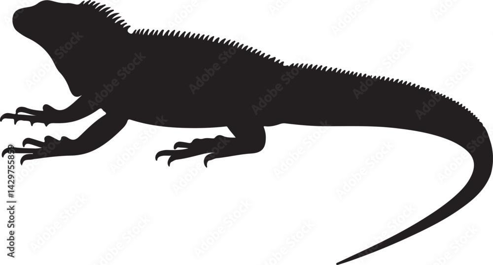 Fototapeta premium Oaxacan Spiny-tailed Iguana Silhouette