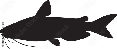 Ocean Catfish Silhouette