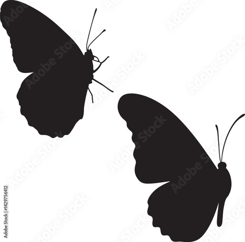 Queen Butterfly Silhouette