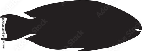 Queen Parrotfish Silhouette