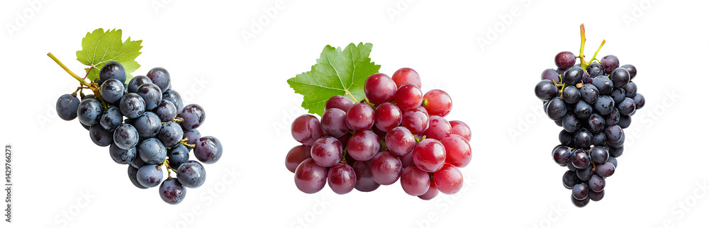 Fototapeta premium Set of bunches of red and dark purple grapes with leaves, isolated on transparent background