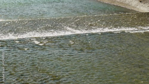 鴨川の段差の白い波
