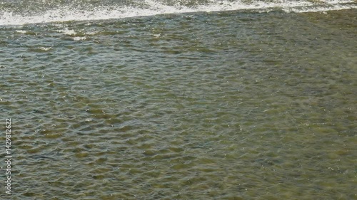 鴨川の水の流れ
