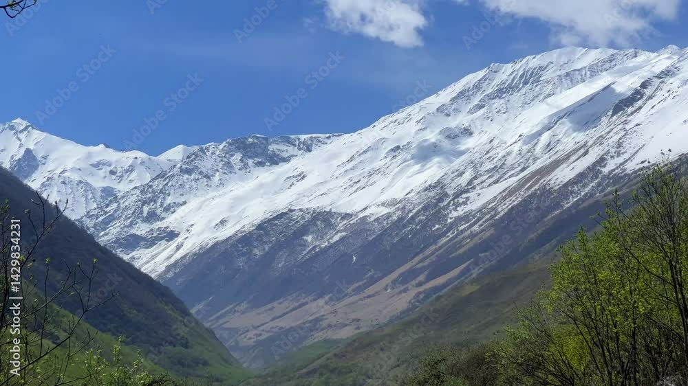 A trail in the green valley of the Karmadon gorge overlooking the Kolka glacier. The Main Caucasian Ridge. Summer view of the Karmadon gorge. A mountain valley after the collapse of rocks and ice. 4К A trail in the green valley of the Karmadon gorge overlooking the Kolka glacier. The Main Caucasian Ridge. Summer view of the Karmadon gorge. A mountain valley after the collapse of rocks and ice. 4К