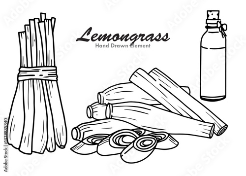 hand drawn vector illustration of a set of lemongrass