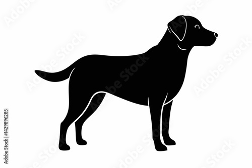 labrador retriever sihouette black vector