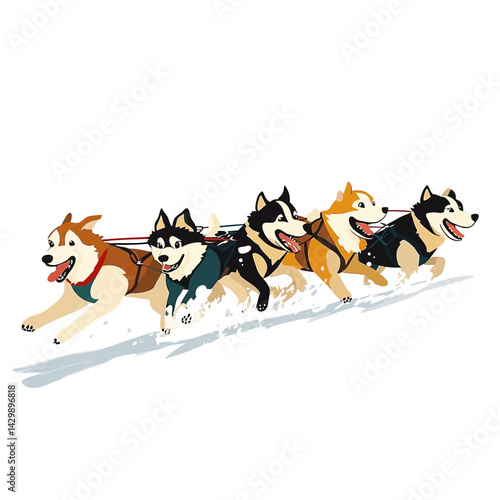 Sled Dogs Running On Snow Against White Background