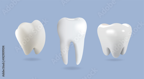 Realistic 3D vector illustration of three human teeth types on blue background. Healthy tooth anatomy concept for dental care, hygiene, and medical purposes