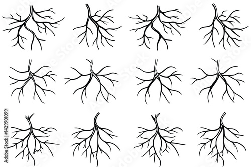 Arteries Circulate Pressure Line Art