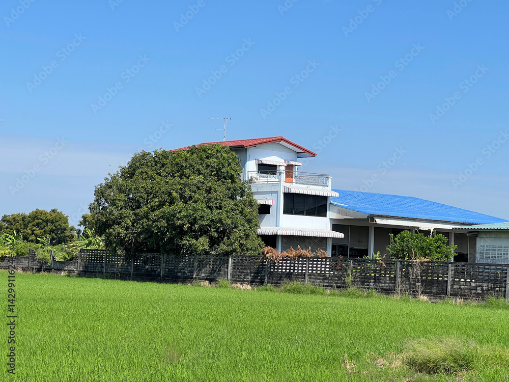 Obraz premium green house in the garden