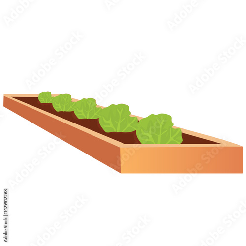 Raised vegetable garden bed.