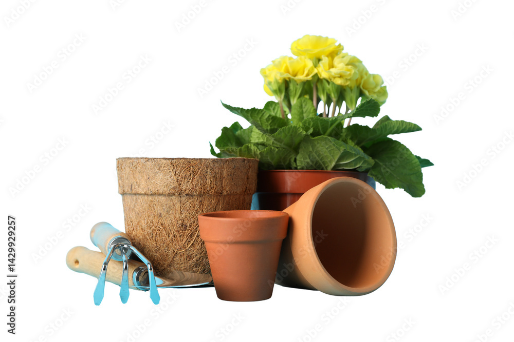 Obraz premium Gardening, Colorful flower pots and tools are neatly arranged in a cozy space for gardening, isolated on white, PNG