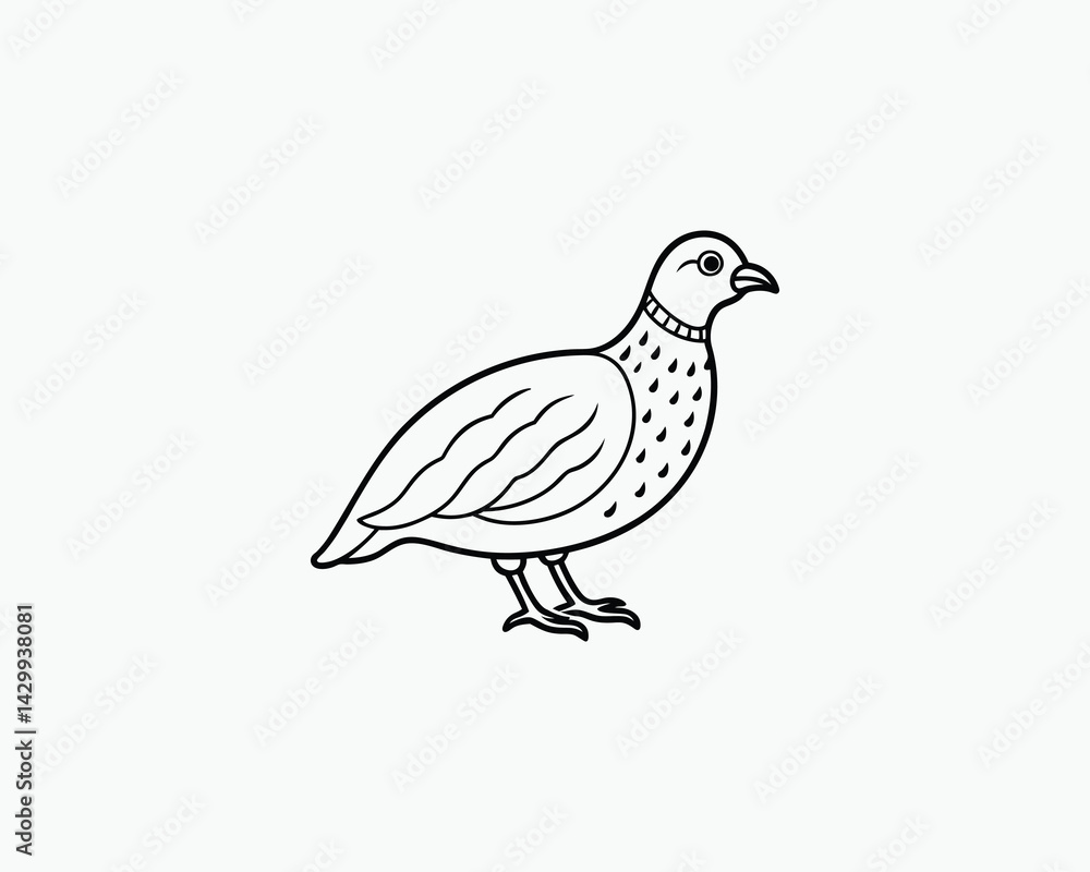 Fototapeta premium Quail Coloring Page Bird Outline Drawing for Coloring Activity