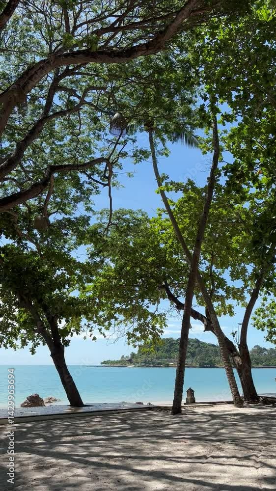 Pristine southern Thai coast with gentle waves and endless sky, trees in sight Pristine southern Thai coast with gentle waves and endless sky, trees in sight